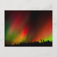 Aurora Borealis et arbres