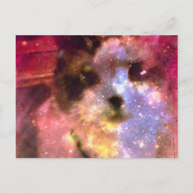 Carte Postale aurora borealis kitty (Devant)