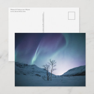 Carte Postale Aurora coloré