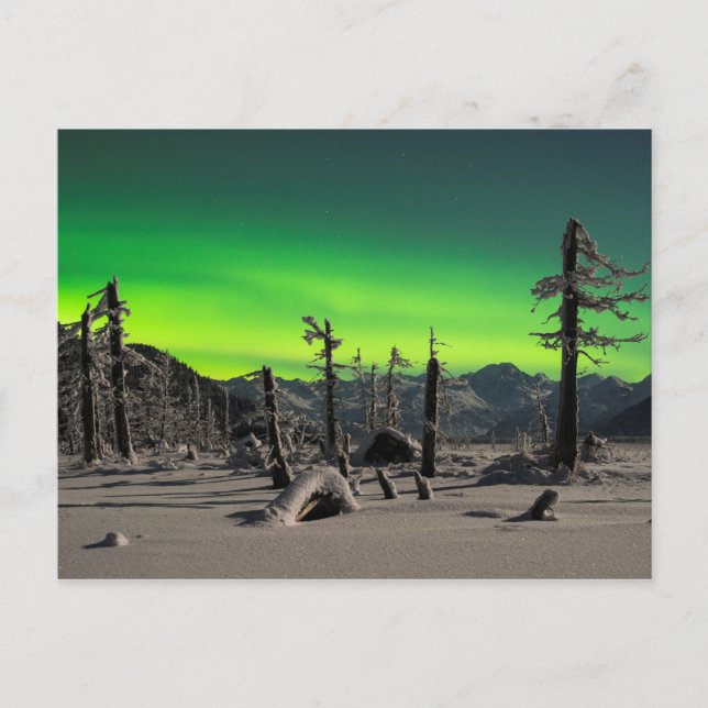 Carte Postale Aurora lunaire (Devant)