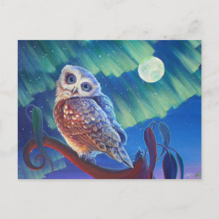Carte Postale Aurora Owl