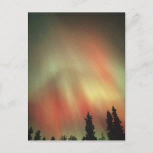 Carte Postale Aurore Boréale, Lumières du Nord, Fairbanks