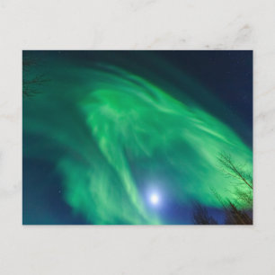 Carte Postale Aurore Boréale Lumières du Nord Fairbanks