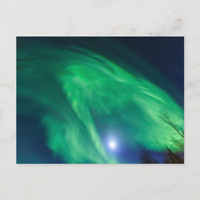 Carte Postale Aurore Boréale Lumières du Nord | Fairbanks (Devant)
