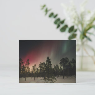 Carte Postale Aurore Boréale sur une forêt enneigée 