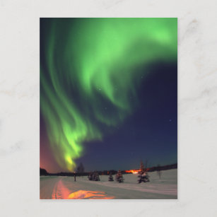 Carte Postale aurores boréales au lac Bear
