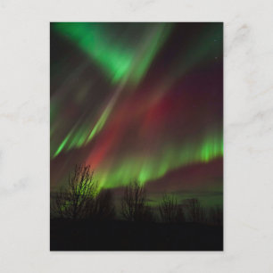 Carte Postale Aurores boréales   Scandinavie, Islande