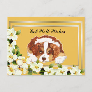 Carte postale Aussie Red Tri Puppy Get Well