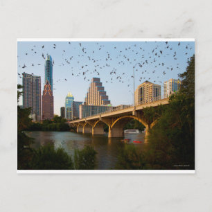 Carte Postale Austin, Texas Congress Bridge Bats