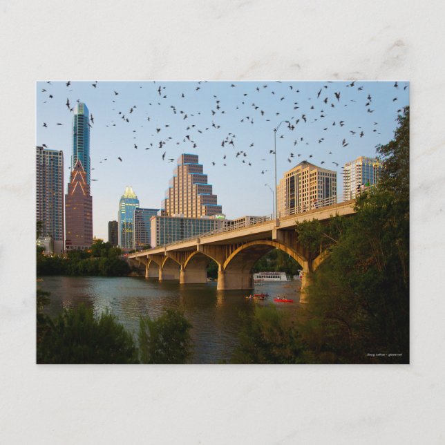 Carte Postale Austin, Texas with Bats (Devant)