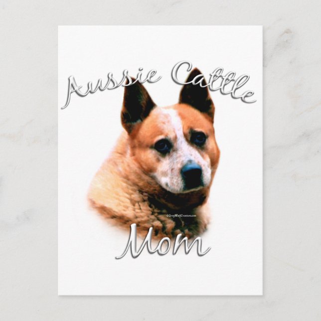 Carte Postale Australian Cattle Chien Maman 2 (Devant)