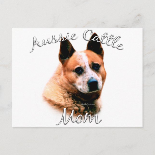 Carte Postale Australian Cattle Chien Maman 2 (Devant)