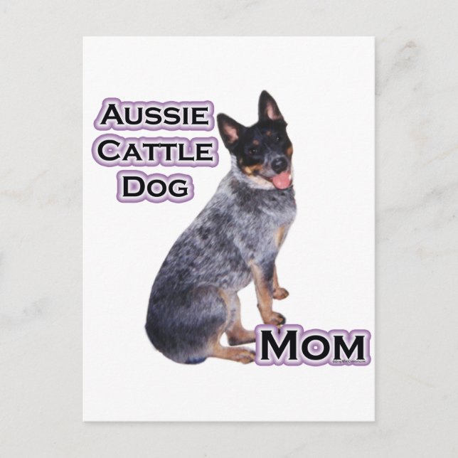 Carte Postale Australian Cattle Chien Maman 4 (Devant)