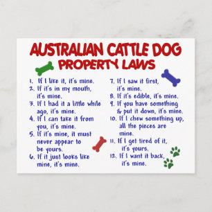 Carte Postale AUSTRALIAN CATTLE DOG, propriété Lois 2