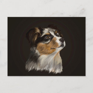 Carte Postale Australian Sheperd