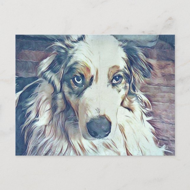 Carte Postale Australian Shepherd Digital Art (Devant)
