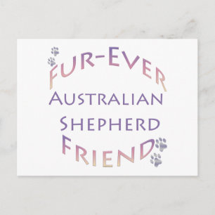 Carte Postale Australian Shepherd Furever