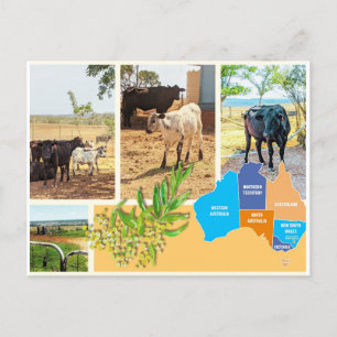 Carte postale Australie
