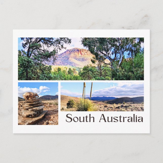 Carte Postale Australie du Sud (Devant)