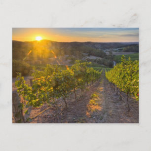 Carte Postale Australie du Sud, Adélaïde Hills, Summertown.