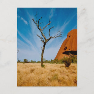 Carte Postale Australie-Extérieure