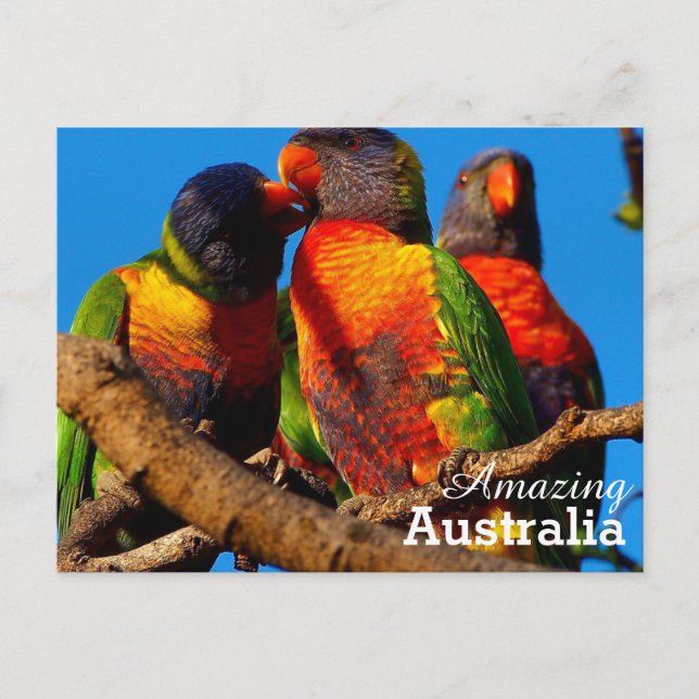 Carte postale Australie Extraordinaire (Devant)
