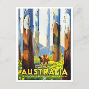 Carte Postale Australie les arbres les plus hauts voyage vintage