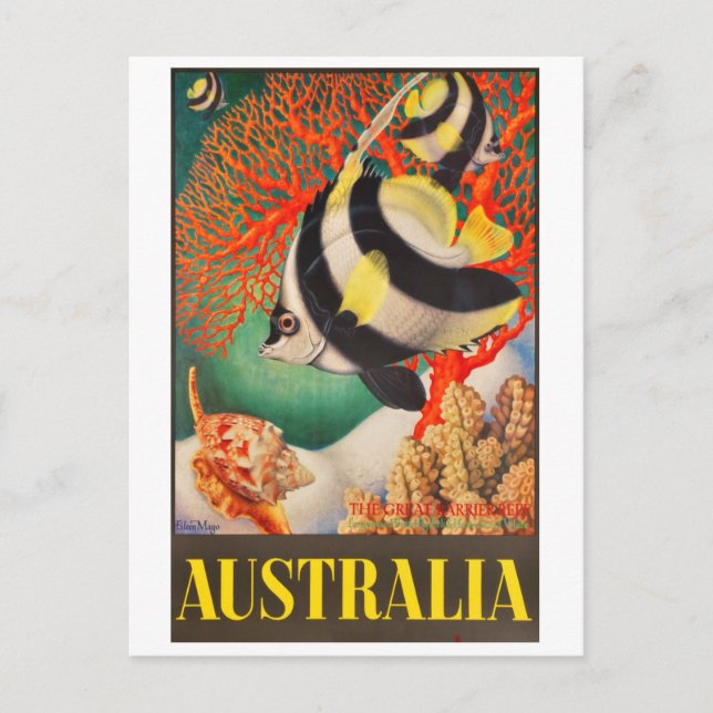 Carte Postale Australie, Poissons tropicaux à la Grande Barrière (Devant)