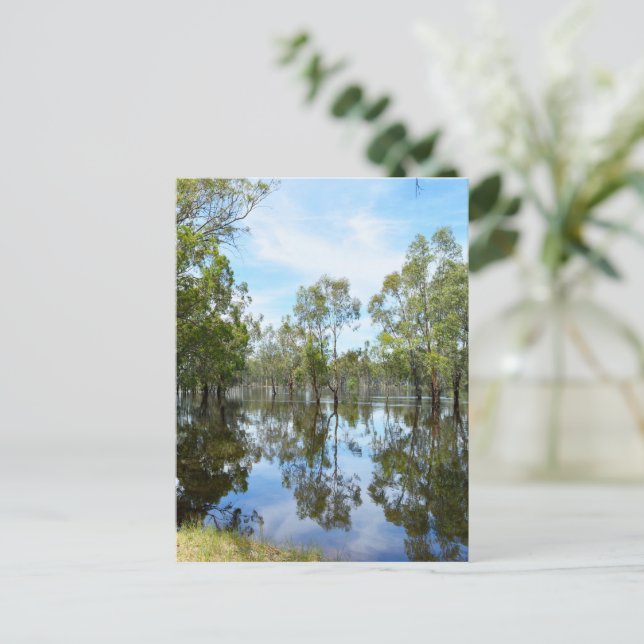 Carte Postale Australie The River Murray, (Debout devant)