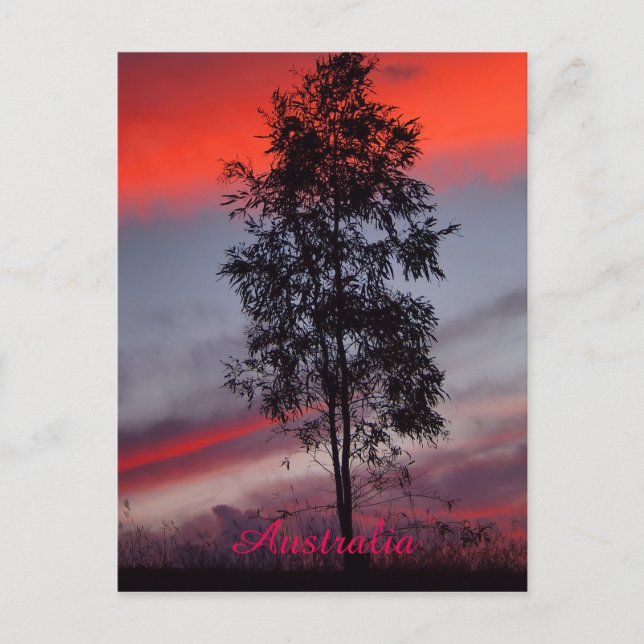 Carte postale australienne orageuse au coucher du  (Devant)