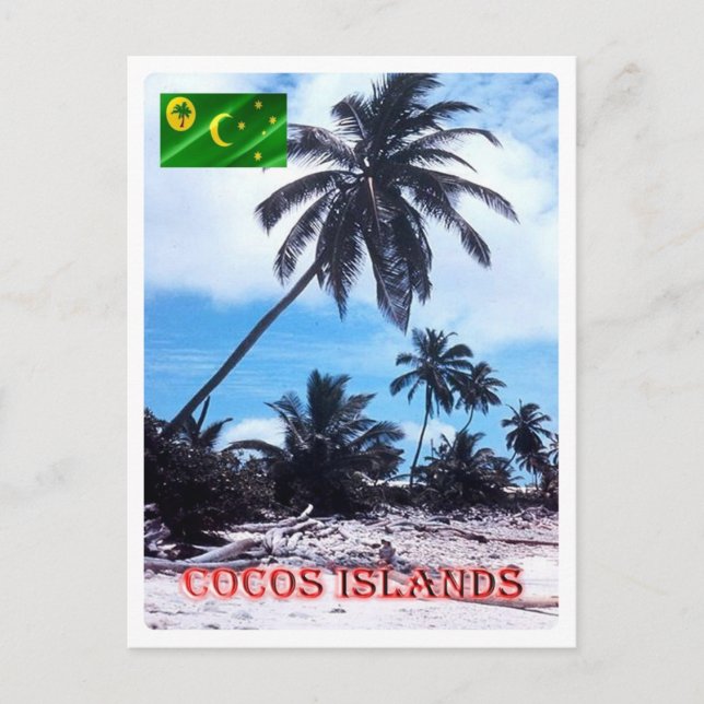 Carte Postale Austraslia - Cocos (Keeling) Islands - Palms - (Devant)