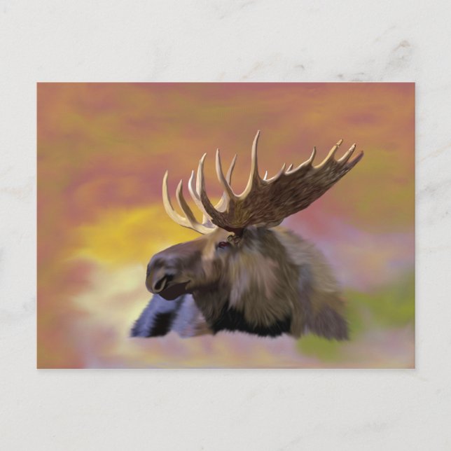 Carte Postale Autautomne Bull Moose (Devant)