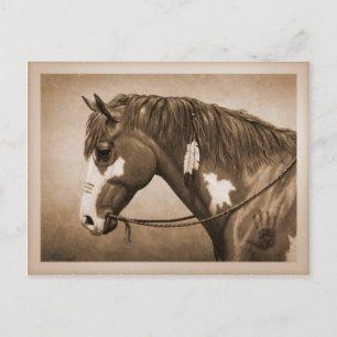 Carte Postale Autochtone Américain Pinto War Horse Style Vintage