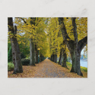 Carte Postale Automne