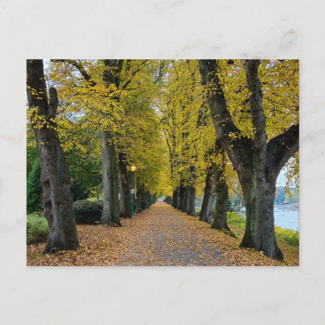 Carte Postale Automne (Devant)