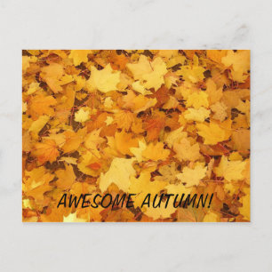 Carte postale Automne
