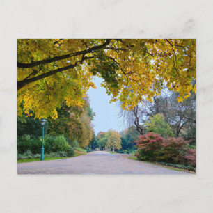 Carte Postale Automne