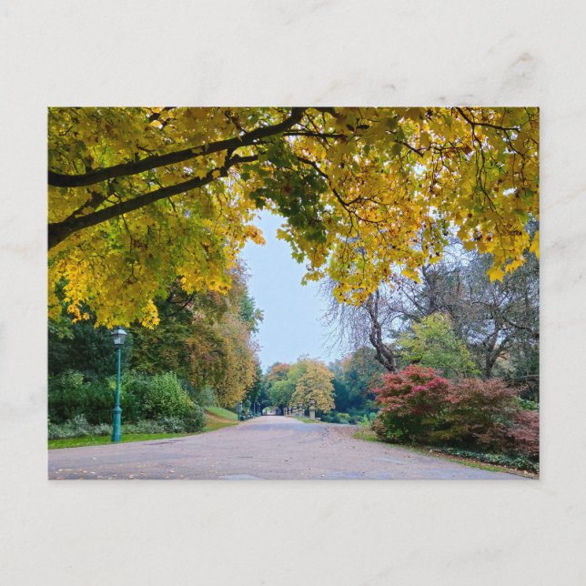 Carte Postale Automne (Devant)