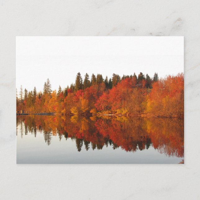 Carte Postale Automne (Devant)
