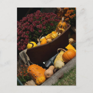 Carte postale Automne