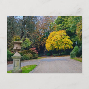 Carte Postale Automne