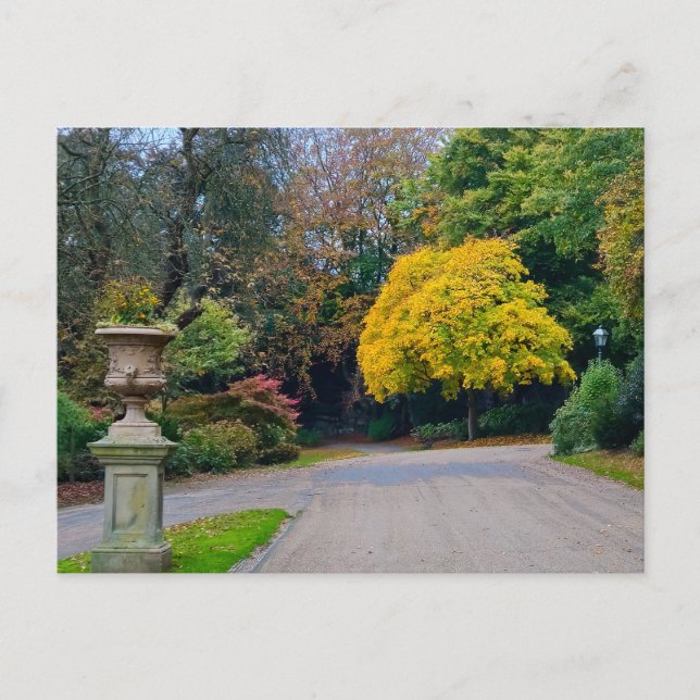 Carte Postale Automne (Devant)