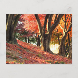 Carte Postale Automne