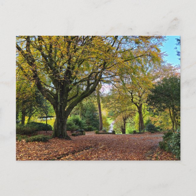 Carte Postale Automne (Devant)