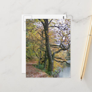 CARTE POSTALE AUTOMNE