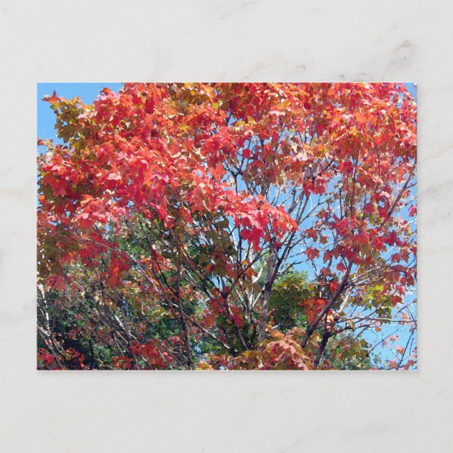Carte Postale Automne... (Devant)