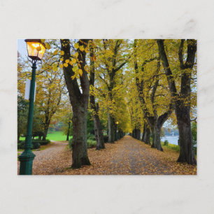 Carte Postale Automne