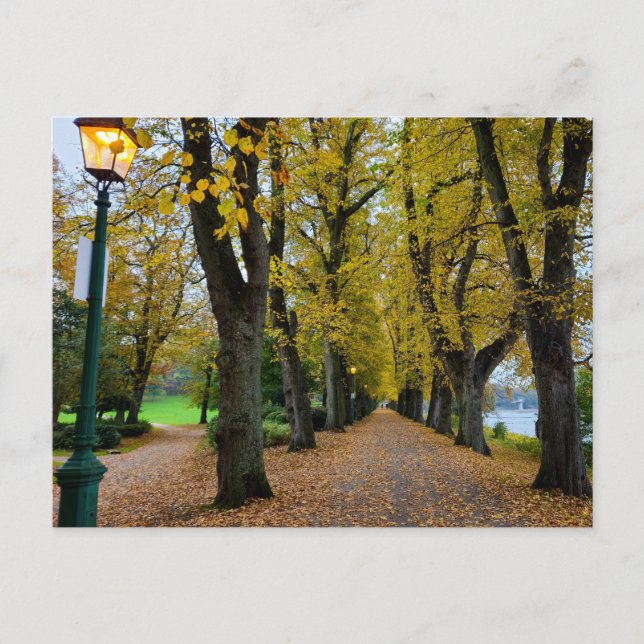 Carte Postale Automne (Devant)
