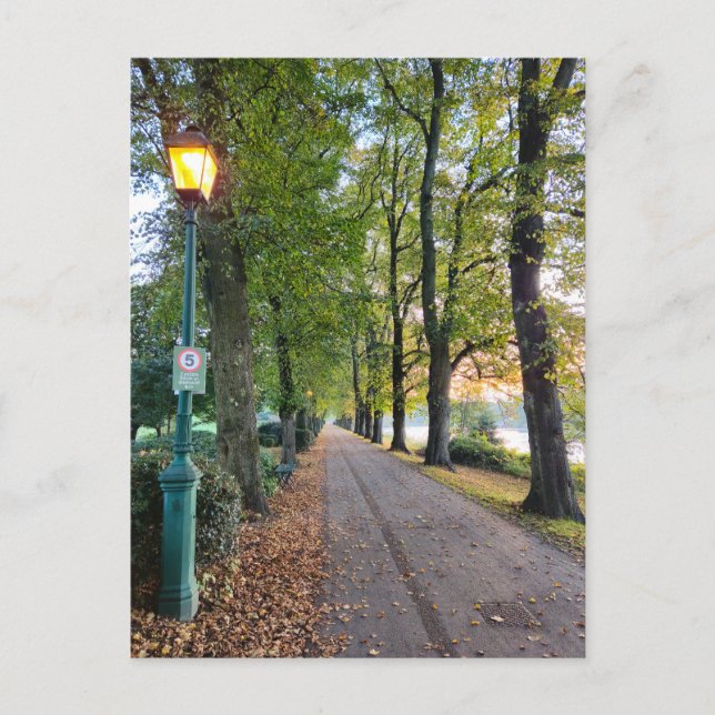 Carte Postale Automne (Devant)