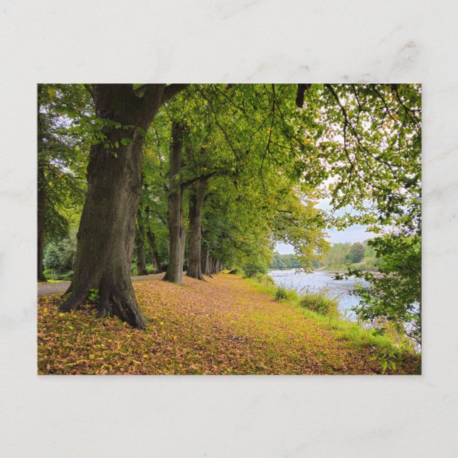 Carte Postale Automne (Devant)